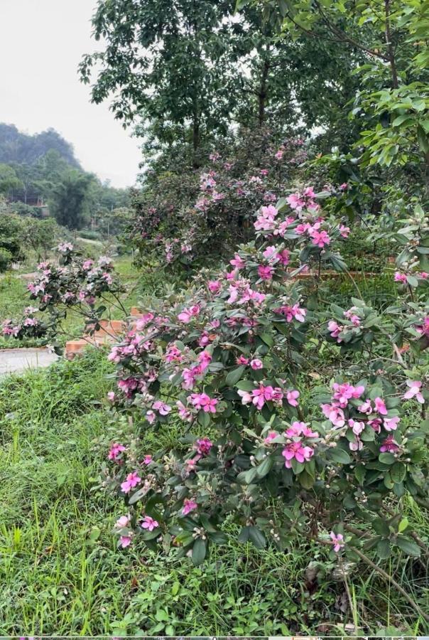 Riverside Homestay Cao Bang Exterior photo